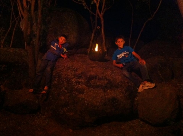 Fogatas en el bosque